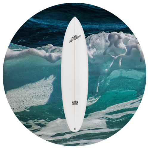 Evo surfboard online